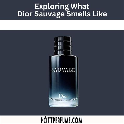 dior sauvage english|dior sauvage smell like.